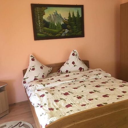 Pensiunea Vasilica Ceterasu Oncesti (Maramures) Bagian luar foto