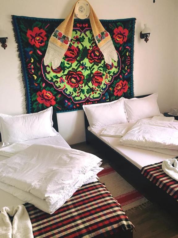 Pensiunea Vasilica Ceterasu Oncesti (Maramures) Bagian luar foto