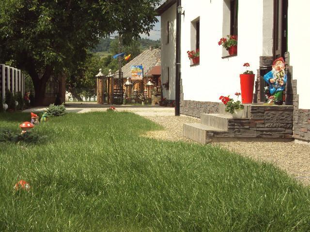 Pensiunea Vasilica Ceterasu Oncesti (Maramures) Bagian luar foto